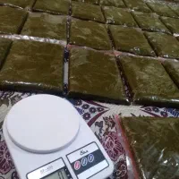سبزی خورشتی  و اسفناج اماده  رامهرمز