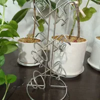 پایه نوشابه