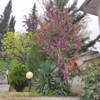 اجاره آپارتمان ۲ خواب سعادت آباد