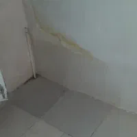 گچکاری گچ کار بنا سیمانکار دیوارچینی نقاش سفیدکار|خدمات پیشه و مهارت|کرمانشاه, |دیوار