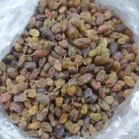 کشمش سایه خشک