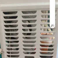 کولرابی جنرال سون|کولر آبی|جوانرود, |دیوار