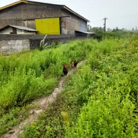 اجاره واحد و سوله صنعتی جهت تولید، تجارت یا انبار