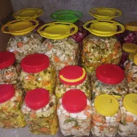 ترشی درجه۱ در۳رنگ