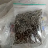 تخمه آفتابگردان بسته بندی