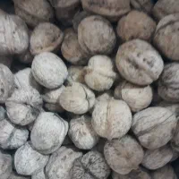 گردو|حراج|سنندج, |دیوار