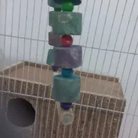 قفس|لوازم جانبی حیوانات|محمدیه-قزوین, |دیوار