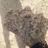 تفاله چغندر|خدمات پیشه و مهارت|اردبیل, |دیوار