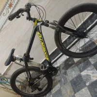 دو عدد دوچرخه