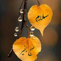 استخدام حسابدار خانم