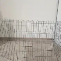 پارک سگ
