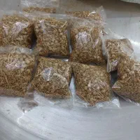اسپند