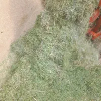 یونجه|لوازم جانبی حیوانات|قیدار, |دیوار