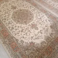 فرش ۶ متری|فرش|شیراز, دلجو|دیوار