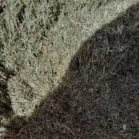 کاه همه رقم