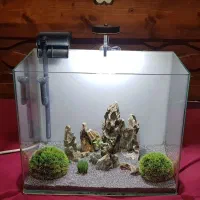 آکواریم شیشه خم دیزاین شده آماده استفاده