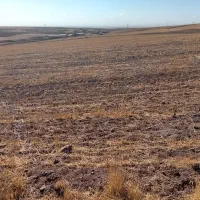 زمین کشاورزی