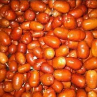 سنجد امساله قزل تازه خوشرنگ خوشمزه