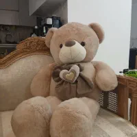 شاسخین