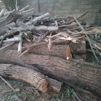 خرید انواع چوب|خدمات باغبانی و درختکاری|کنگاور, |دیوار