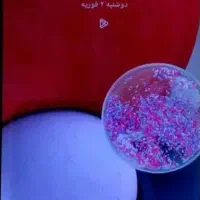 گوشی a13|موبایل|میاندوآب, |دیوار