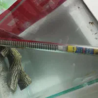 بخاری آکواریوم