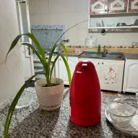 منزل مبله|اجارهٔ کوتاه‌مدت آپارتمان و سوئیت|نورآباد ممسنی, |دیوار