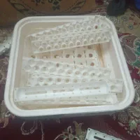 دستگاه جوجه کشی و خروس و جوجه موجود است