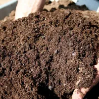 کود میلورم و کود مگس سرباز|خدمات باغبانی و درختکاری|گلمکان, |دیوار