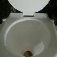 توالت فرنگی|لوازم سرویس بهداشتی|تبریز, |دیوار