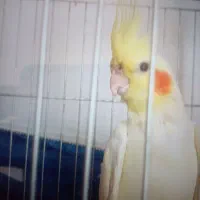 ۲۰۰۰.۰۰۰.۰