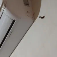 نصب اسپیلت وبازوبستتن وشستوشوی اسپیلت1350هزارفقط|خدمات پیشه و مهارت|زابل, |دیوار