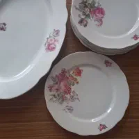 ظروف پذیرایی خارجی