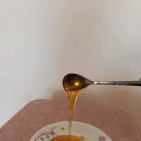 فروش عسل طبیعی کوهستان|خوردنی و آشامیدنی|شیراز, شهرک پرواز|دیوار
