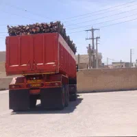 کمپرسی قیچی بلند زیربند ترک درجه یکک