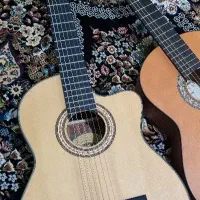 گیتار واش برن