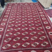 فرش دست بافت|فرش|بومهن, |دیوار