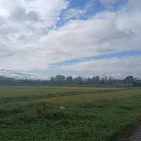 ۱هکتار شالیزارسنددار بررودخانه سنگررشت|فروش زمین و ملک کلنگی|سنگر, |دیوار