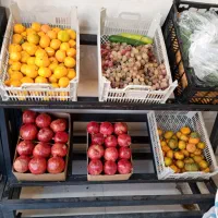 فروش قفسه میوه