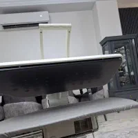اتو پرس ژانومه