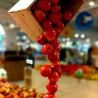 استخدام معرف فروشگاه دورکار|استخدام بازاریابی و فروش|مشهد, فلسطین|دیوار