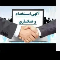 استخدام ویزیتور