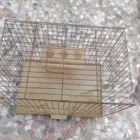 قفس