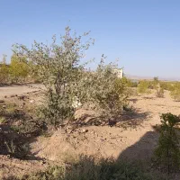 معاوضه ۲۶۰۰مترباغ بایک ساعت و بیست دقیقه اب|فروش خانه و ویلا|خوسف, |دیوار