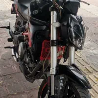 بنلی 300 جفت مزایده