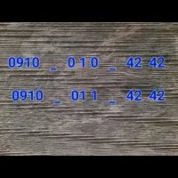 استثنایی و بدون مشابه