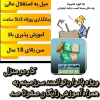 کار درمنزل ویژه بانوان شاغل و خانه دار