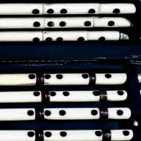 نی کلهر|سازهای بادی|قم, آذر (نکویی)|دیوار