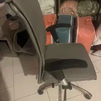 صندلی چرخ دار|صندلی و نیمکت|کیش, |دیوار