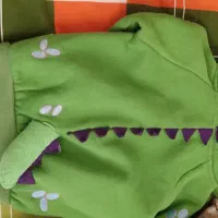 سویشرت دایناسوری در حد نو|کفش و لباس بچه|تهران, بهداشت|دیوار